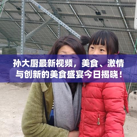 孙大厨最新视频，美食、激情与创新的美食盛宴今日揭晓！