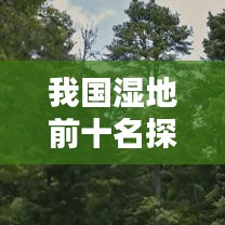 我国湿地前十名探秘,自然之美的宝藏大揭秘