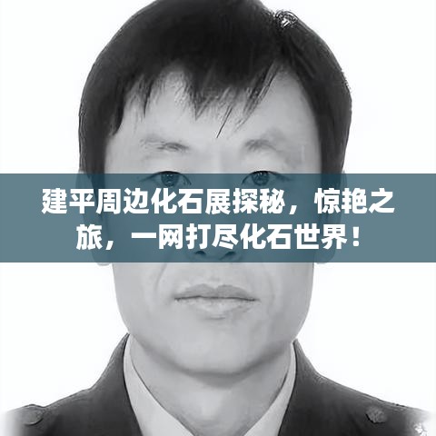 建平周边化石展探秘，惊艳之旅，一网打尽化石世界！