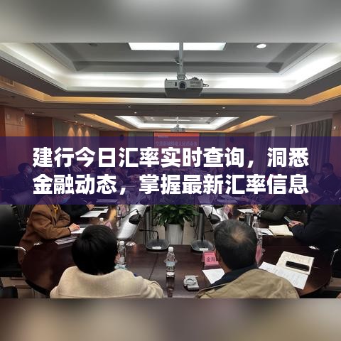 建行今日汇率实时查询，洞悉金融动态，掌握最新汇率信息