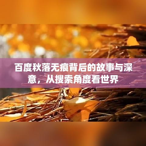 百度秋落无痕背后的故事与深意，从搜索角度看世界