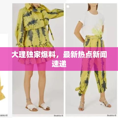 大理独家爆料，最新热点新闻速递