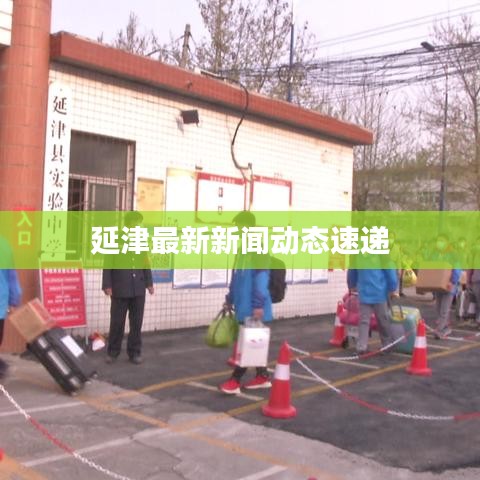 延津最新新闻动态速递