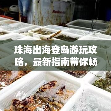 珠海出海登岛游玩攻略，最新指南带你畅游海岛