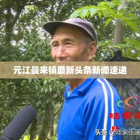 元江曼来镇最新头条新闻速递