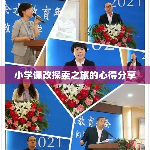 小学课改探索之旅的心得分享