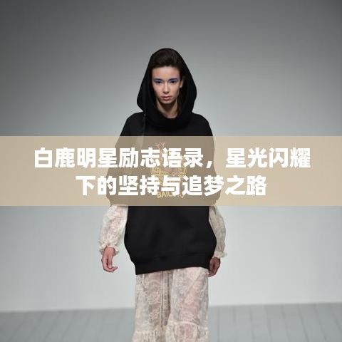 白鹿明星励志语录,星光闪耀下的坚持与追梦之路