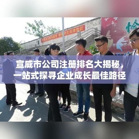 宣威市公司注册排名大揭秘，一站式探寻企业成长最佳路径！