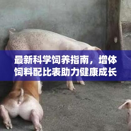 最新科学饲养指南，增体饲料配比表助力健康成长