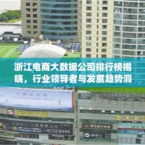 浙江电商大数据公司排行榜揭晓，行业领导者与发展趋势洞察