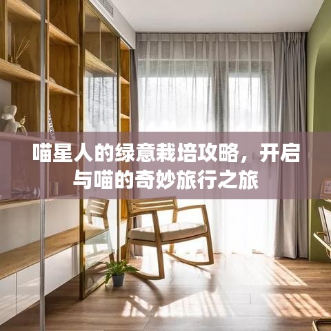 喵星人的绿意栽培攻略,开启与喵的奇妙旅行之旅