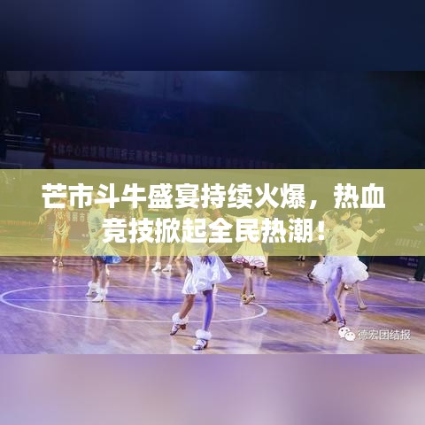 芒市斗牛盛宴持续火爆，热血竞技掀起全民热潮！