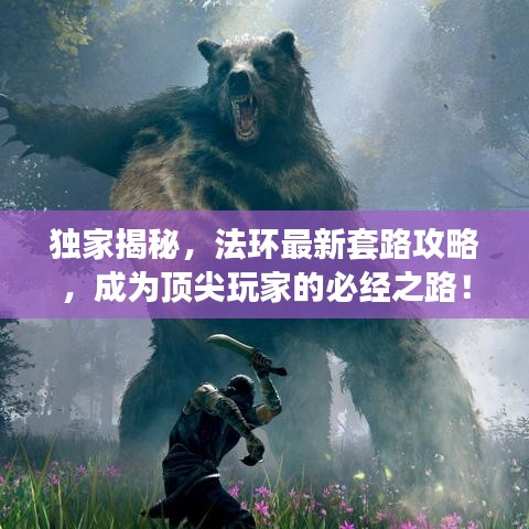 独家揭秘，法环最新套路攻略，成为顶尖玩家的必经之路！