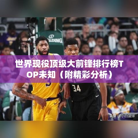 世界现役顶级大前锋排行榜TOP未知（附精彩分析）