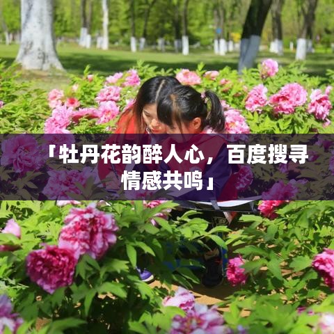 「牡丹花韵醉人心，百度搜寻情感共鸣」