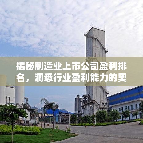 揭秘制造业上市公司盈利排名，洞悉行业盈利能力的奥秘！