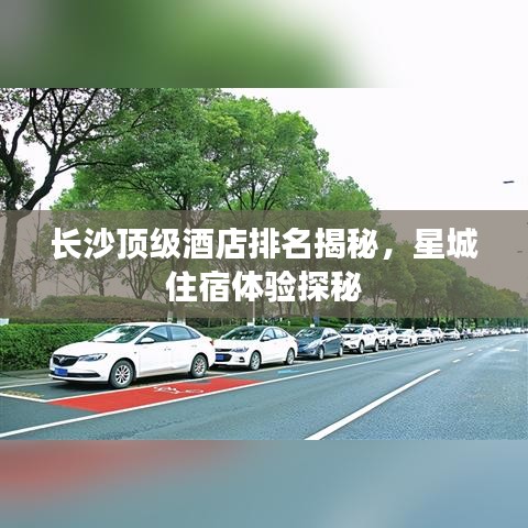长沙顶级酒店排名揭秘，星城住宿体验探秘