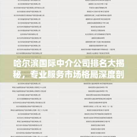 哈尔滨国际中介公司排名大揭秘，专业服务市场格局深度剖析！