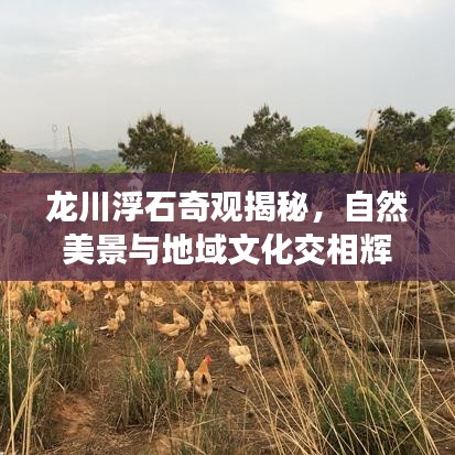 龙川浮石奇观揭秘，自然美景与地域文化交相辉映的新闻头条