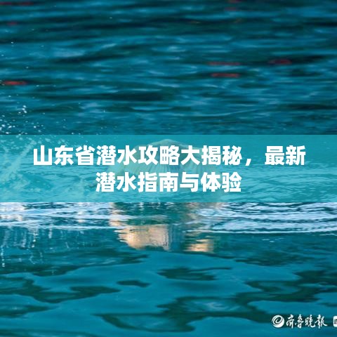 山东省潜水攻略大揭秘，最新潜水指南与体验