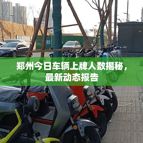 郑州今日车辆上牌人数揭秘，最新动态报告