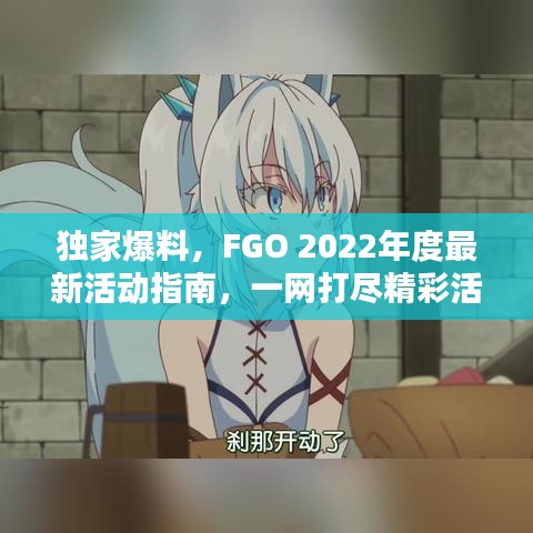 独家爆料，FGO 2022年度最新活动指南，一网打尽精彩活动攻略！