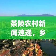 茶陵农村新闻速递，乡村新貌与发展动力揭秘