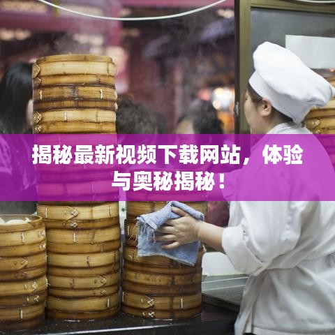 揭秘最新视频下载网站，体验与奥秘揭秘！