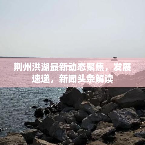 荆州洪湖最新动态聚焦，发展速递，新闻头条解读