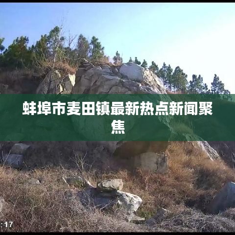 蚌埠市麦田镇最新热点新闻聚焦