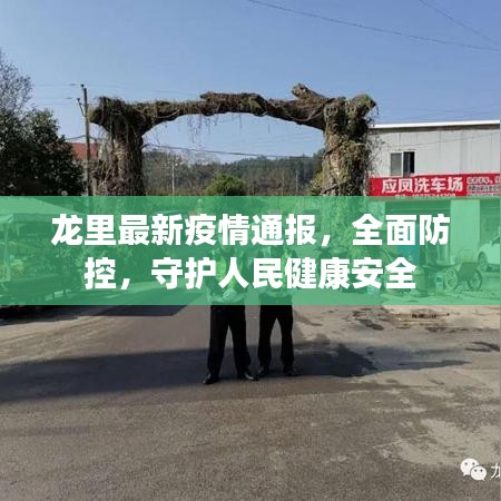 龙里最新疫情通报，全面防控，守护人民健康安全