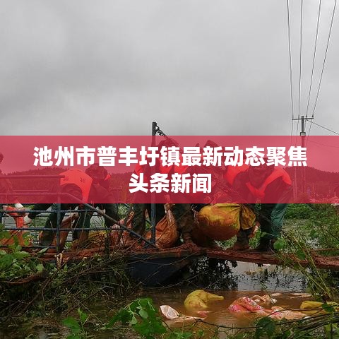 池州市普丰圩镇最新动态聚焦头条新闻