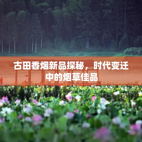 古田香烟新品探秘，时代变迁中的烟草佳品