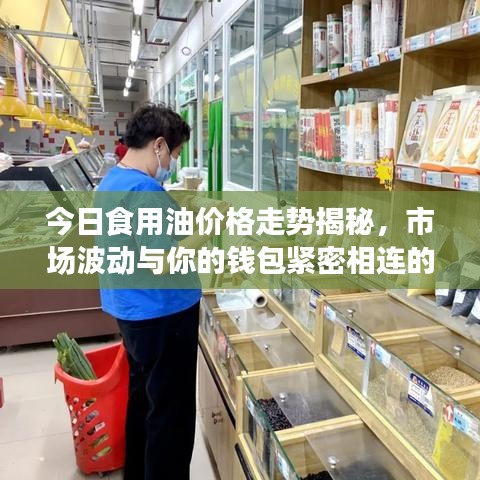 今日食用油价格走势揭秘，市场波动与你的钱包紧密相连的最新消息