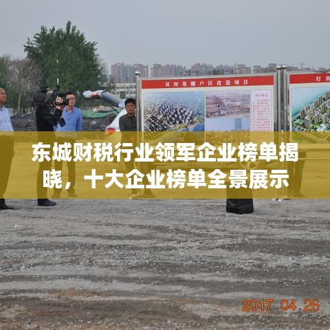 东城财税行业领军企业榜单揭晓，十大企业榜单全景展示