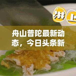 舟山普陀最新动态，今日头条新闻速递