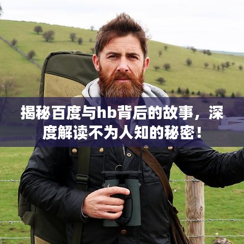 揭秘百度与hb背后的故事，深度解读不为人知的秘密！