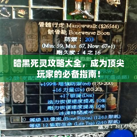 暗黑死灵攻略大全，成为顶尖玩家的必备指南！