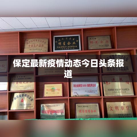保定最新疫情动态今日头条报道