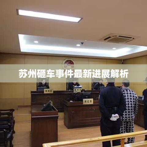 苏州砸车事件最新进展解析