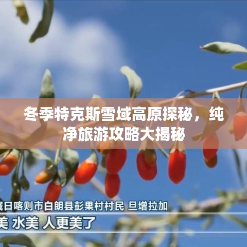 冬季特克斯雪域高原探秘，纯净旅游攻略大揭秘
