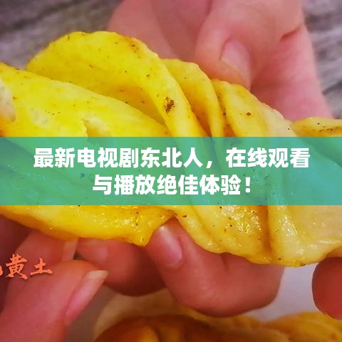 最新电视剧东北人，在线观看与播放绝佳体验！