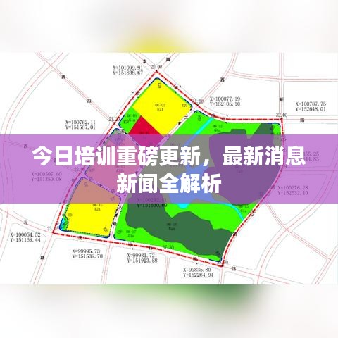今日培训重磅更新,最新消息新闻全解析
