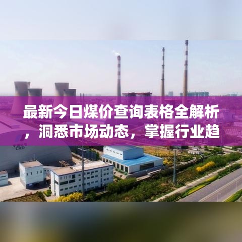 最新今日煤价查询表格全解析，洞悉市场动态，掌握行业趋势动态