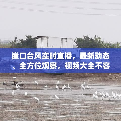 崖口台风实时直播,最新动态、全方位观察,视频大全不容错过