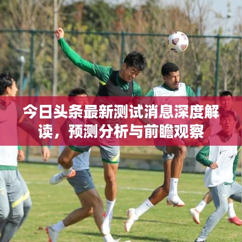 今日头条最新测试消息深度解读，预测分析与前瞻观察