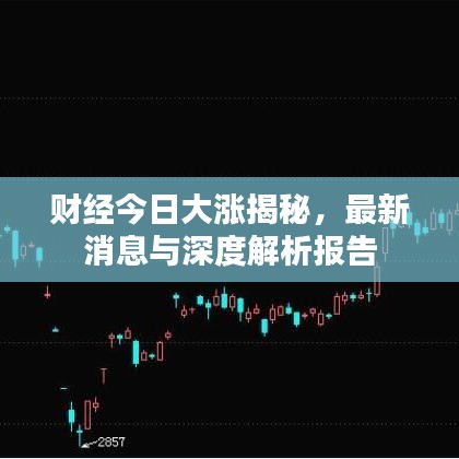 财经今日大涨揭秘，最新消息与深度解析报告