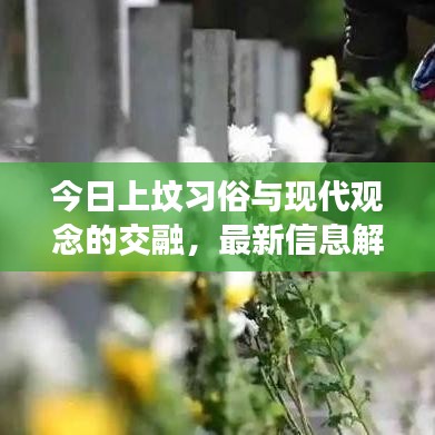 今日上坟习俗与现代观念的交融，最新信息解读