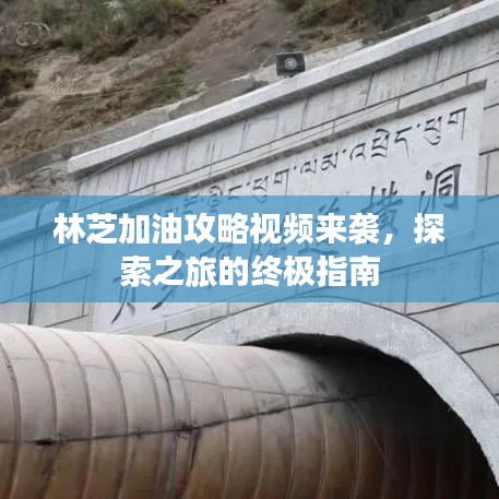 林芝加油攻略视频来袭，探索之旅的终极指南