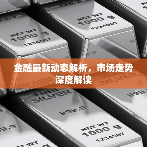 金融最新动态解析，市场走势深度解读